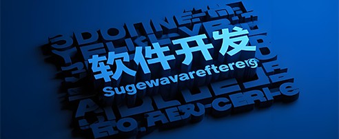 系统开发服务展示