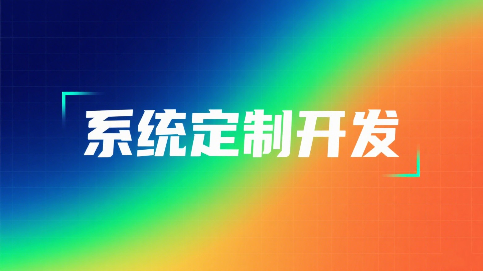 系统开发服务展示